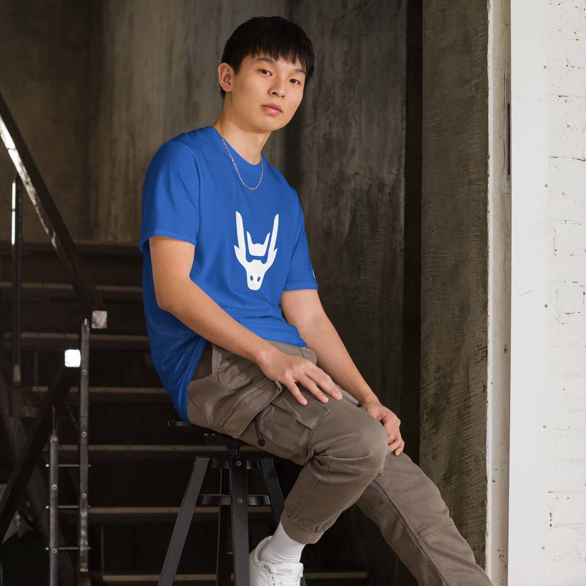 Classic Hondas on the Dragon